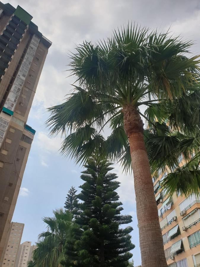 The Skyline Appartement Benidorm